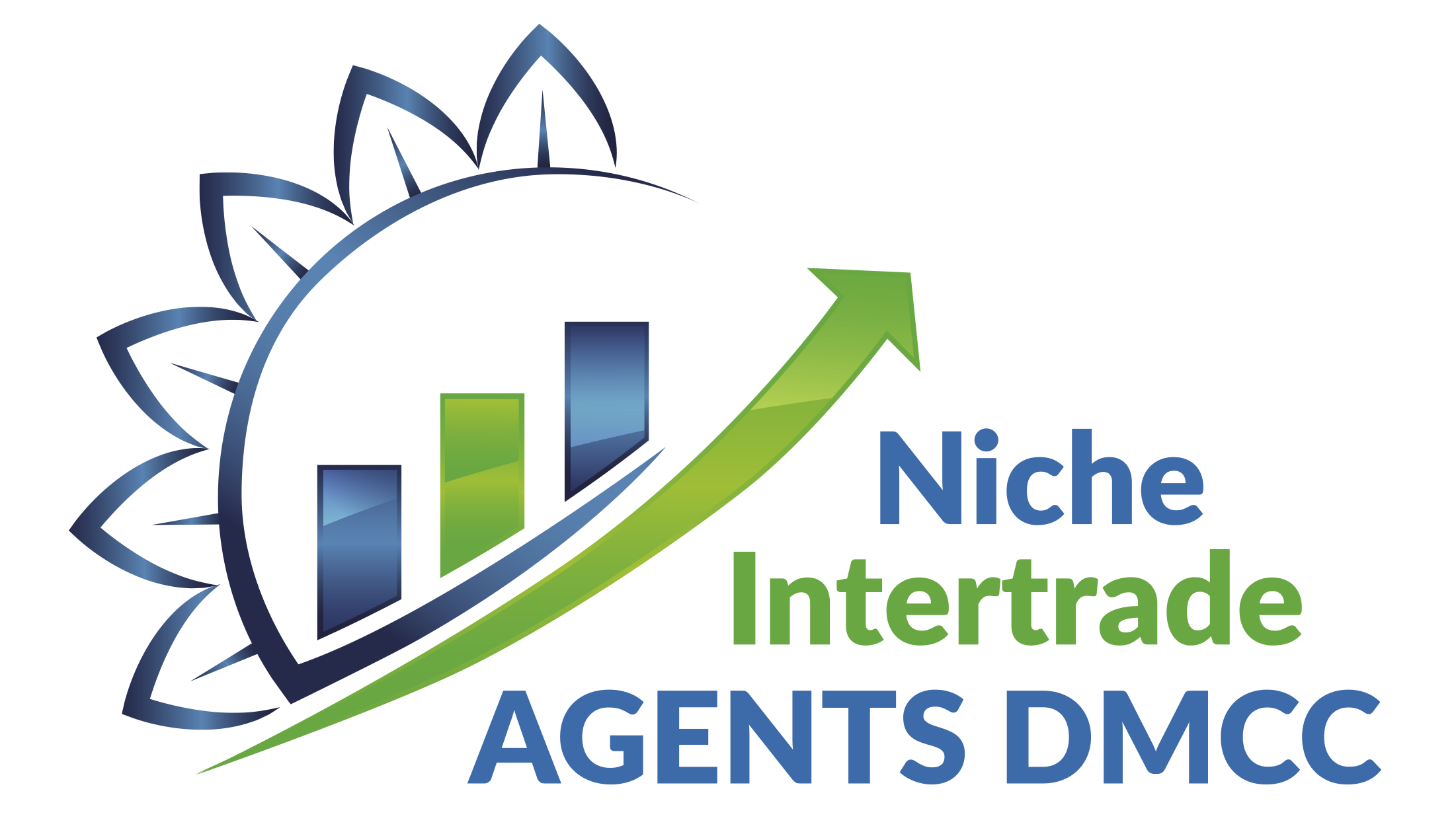 NICHE COMMODITY TRADE DMCC