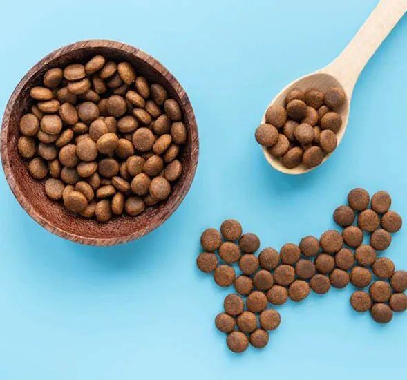 Animal Food, Products and Care Brands & Companies in Dubai, UAE