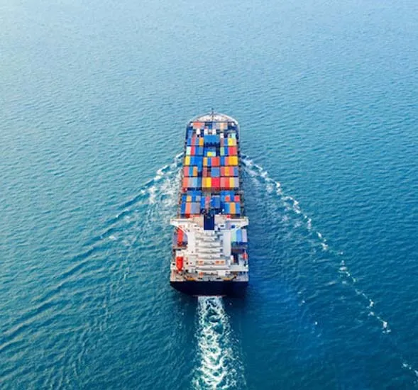 Food Importers & Exporters Brands & Companies in Dubai, UAE