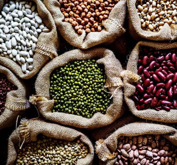 Organic Products Brands & Companies in Dubai, UAE