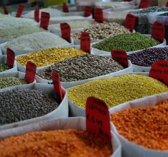 Spices, Herbs, Seeds & Oil Seeds Brands & Companies in Dubai, UAE